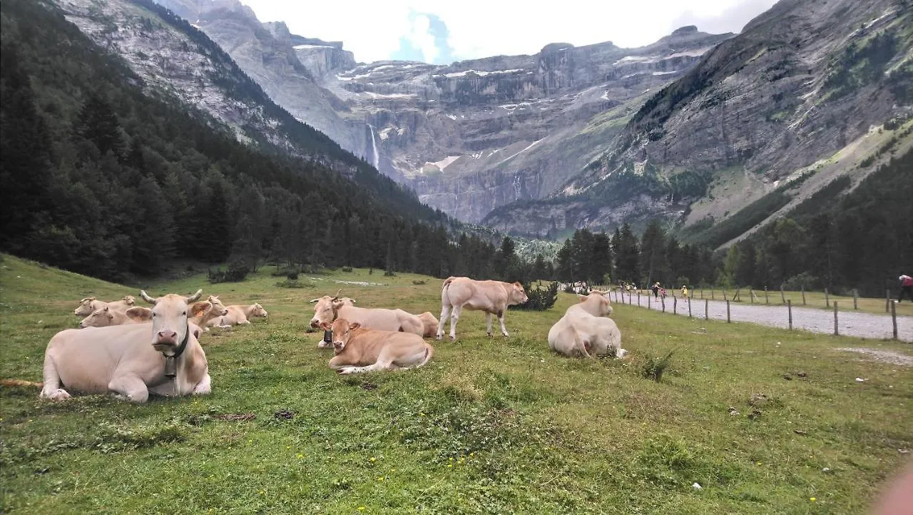 Studio En Pleine Montagne Avec Vue Sur Marmottes La Mongie 0*,