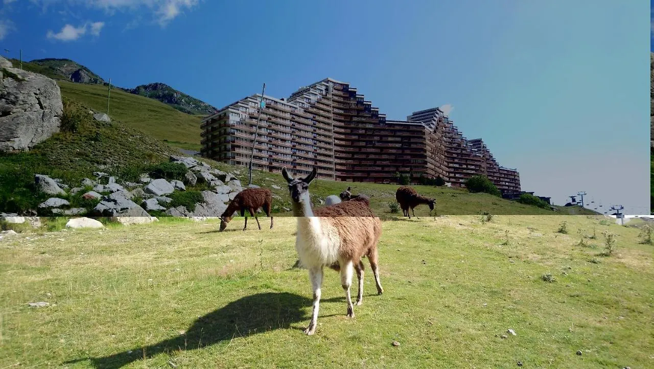 Apartment Studio En Pleine Montagne Avec Vue Sur Marmottes La Mongie France